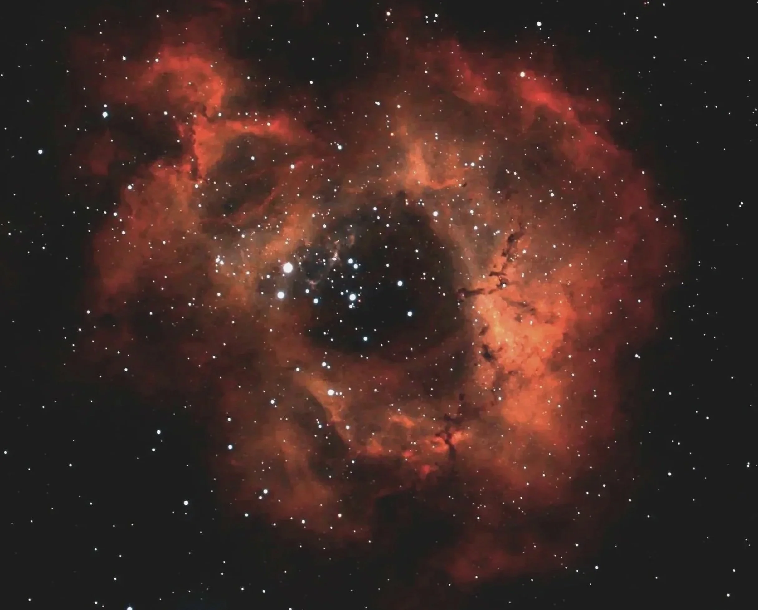 Rosette Normal.jpg