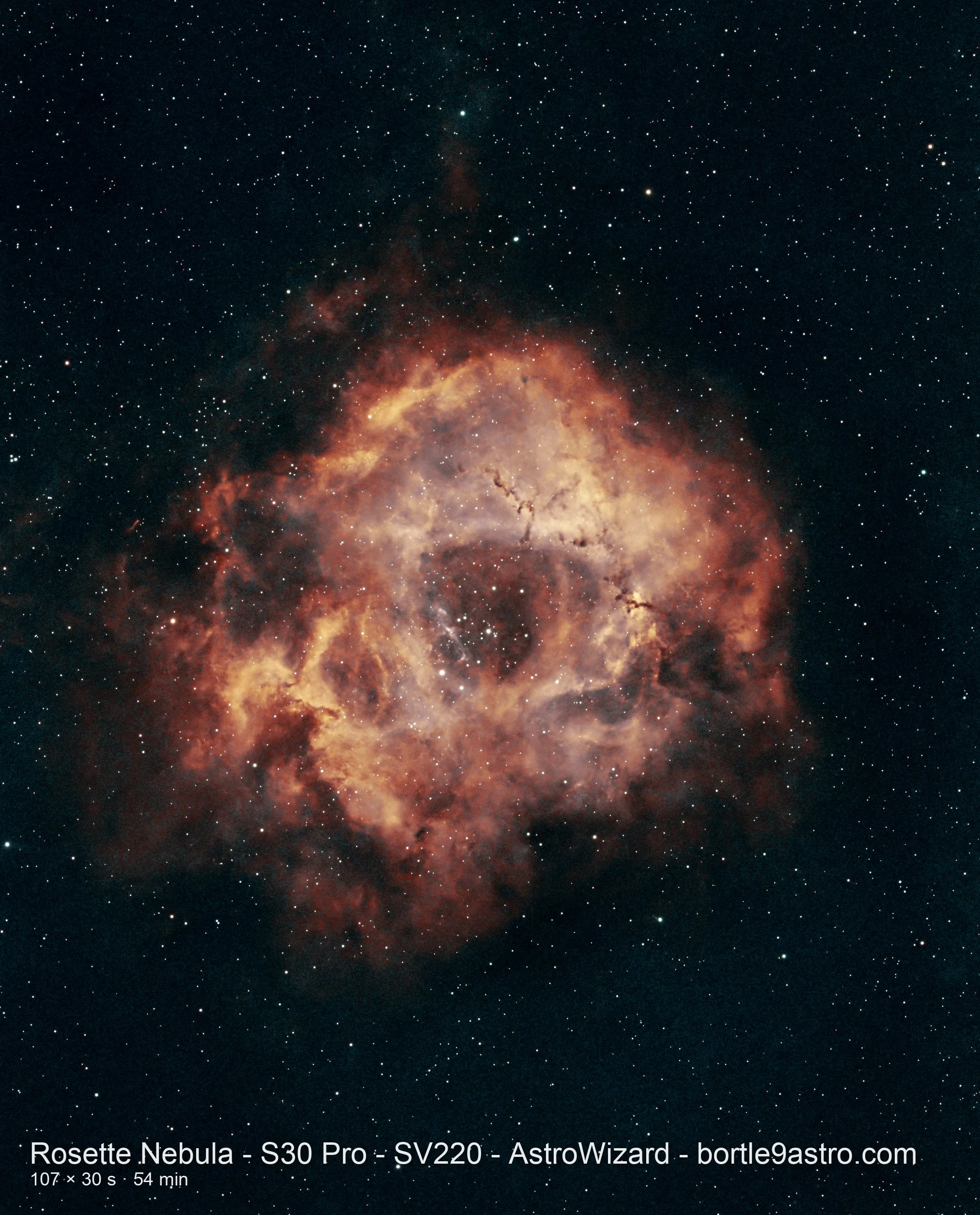 Rosette S30Pro SV220 AstroWizard - bortle9astro.com.jpeg