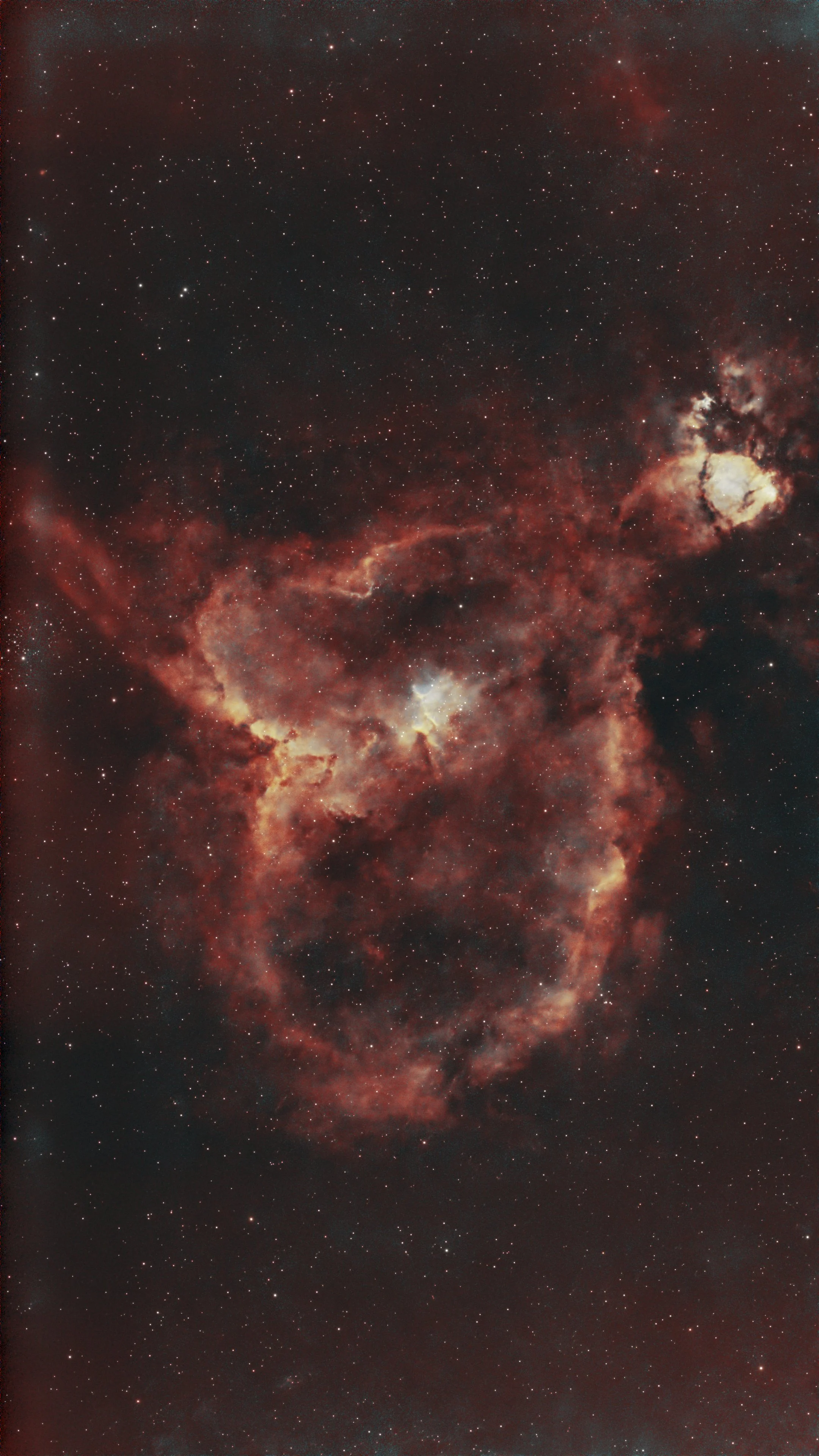 10.17.26 IC1805 Heart SV220 30s.jpeg