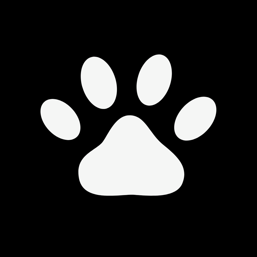 Paw icon representing email marketing services.