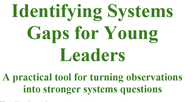 Identifying Systems Gaps Tool for Young Leaders