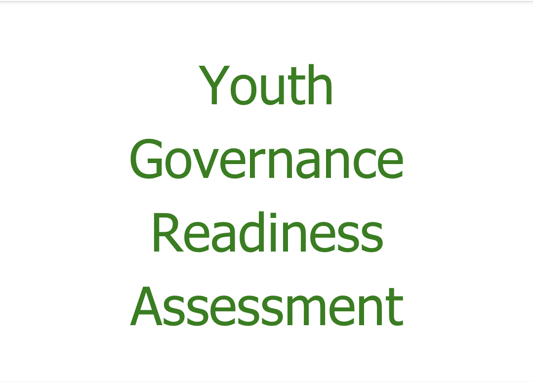 Youth Governance Readiness Assessment