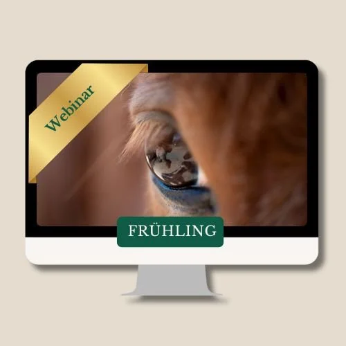 FRÜHLING aus der Webinarreihe "Die 4 Jahreszeiten beim Pferd"