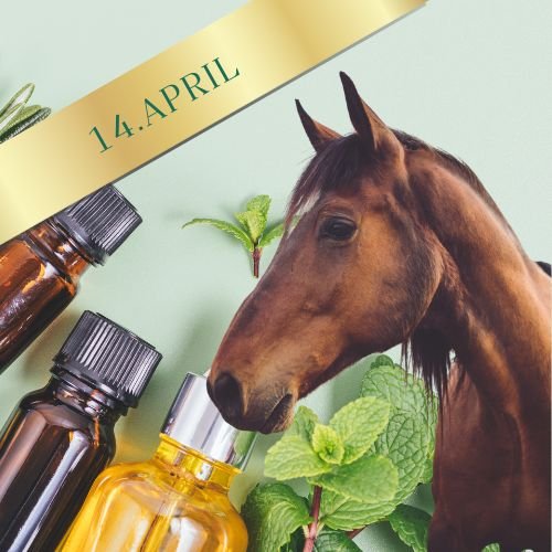 webinar-april-aetherisch-oele-aromatherapie-pferd