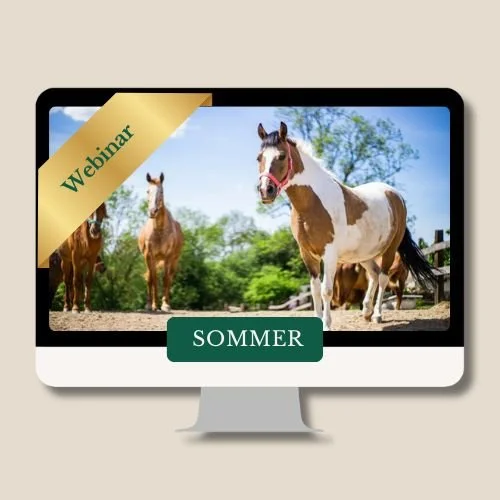 SOMMER aus der Webinarreihe "Die 4 Jahreszeiten beim Pferd"
