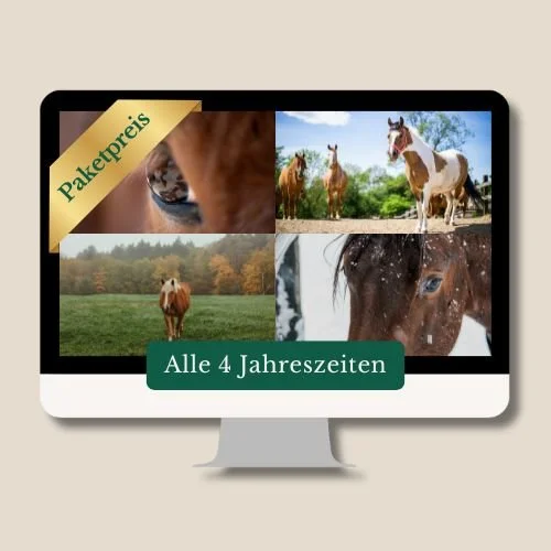4 Webinare-PAKETPREIS: "Die 4 Jahreszeiten beim Pferd"