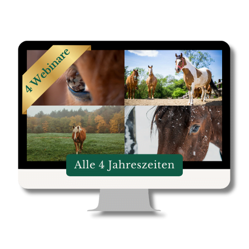 webinar-vier-jahreszeiten-pferd-tcm-pferdebesitzer.png