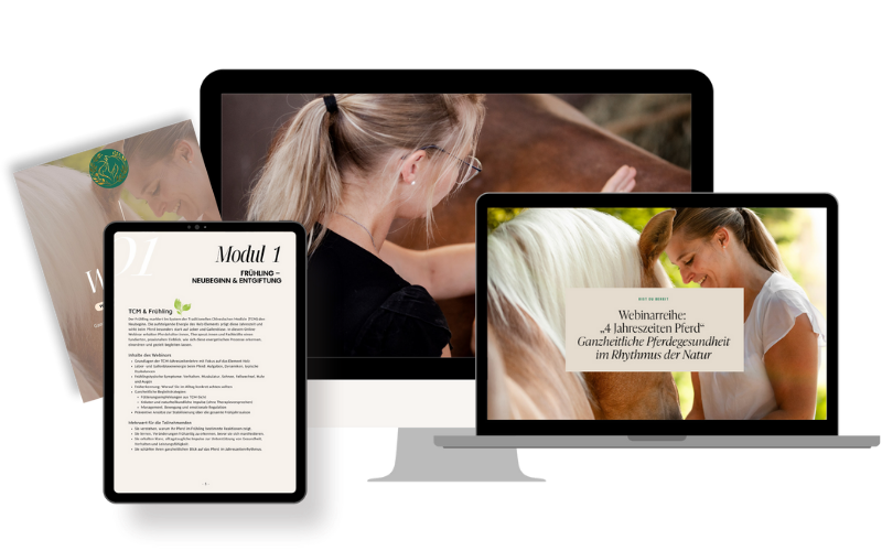 webinare-vier-jahreszeiten-tcm-pferd