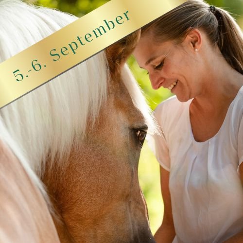 Seminarwochenende BASIC PAKET. Pferde ganzheitlich wahrnehmen.