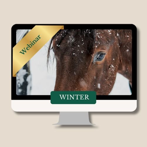 WINTER aus der Webinarreihe  "Die 4 Jahreszeiten beim Pferd"