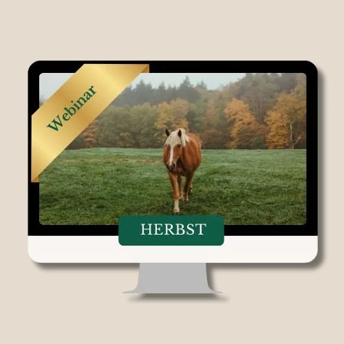 HERBST aus der Webinarreihe  "Die 4 Jahreszeiten beim Pferd"