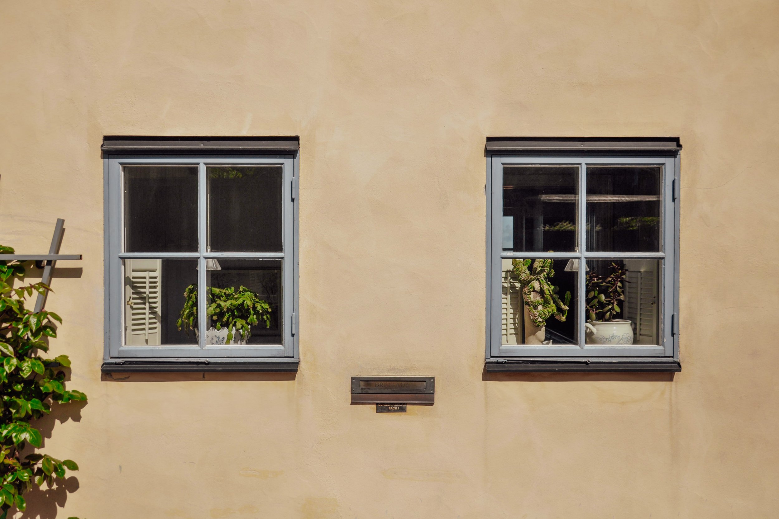 Två fönster på en gul vägg, varma med vita ramar, där det syns inomhusväxter.