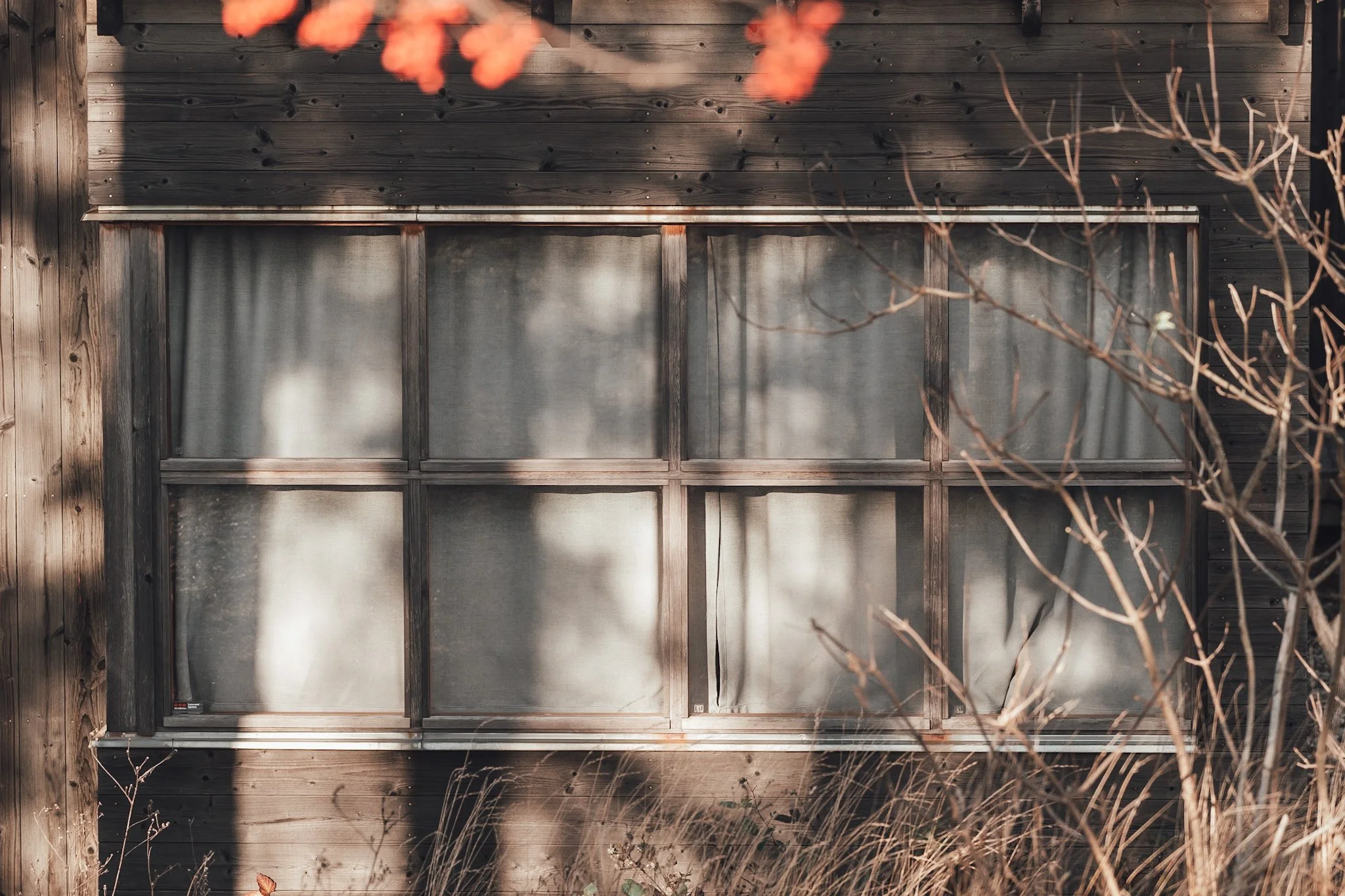 Ett gammalt fönster på en trävägg, omgiven av torra grenar och buskar, med vissa skuggor på väggen.