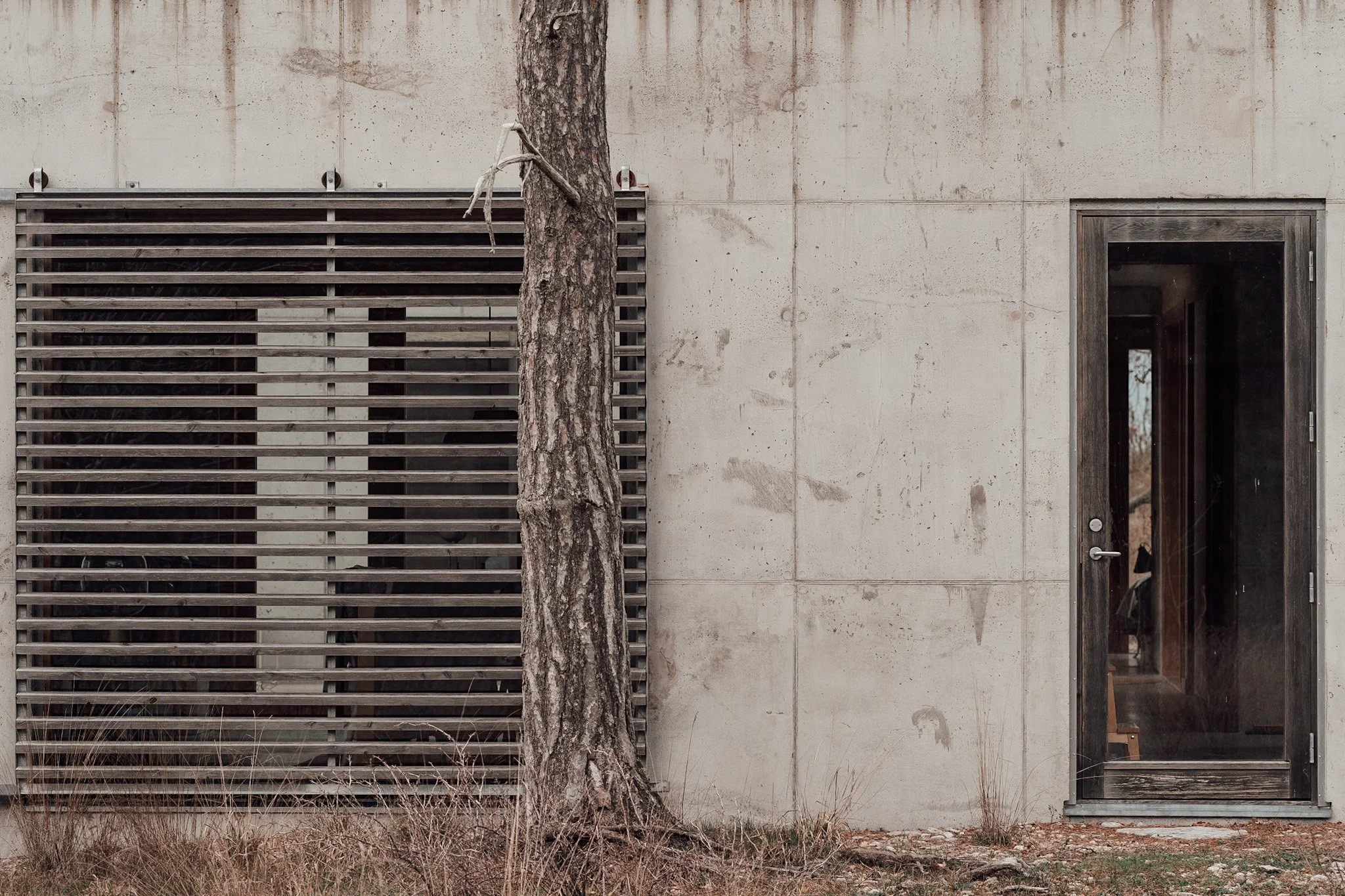 En betongvägg med ett fönster av glas och en trädörr. En trädstam tätt intill väggen.