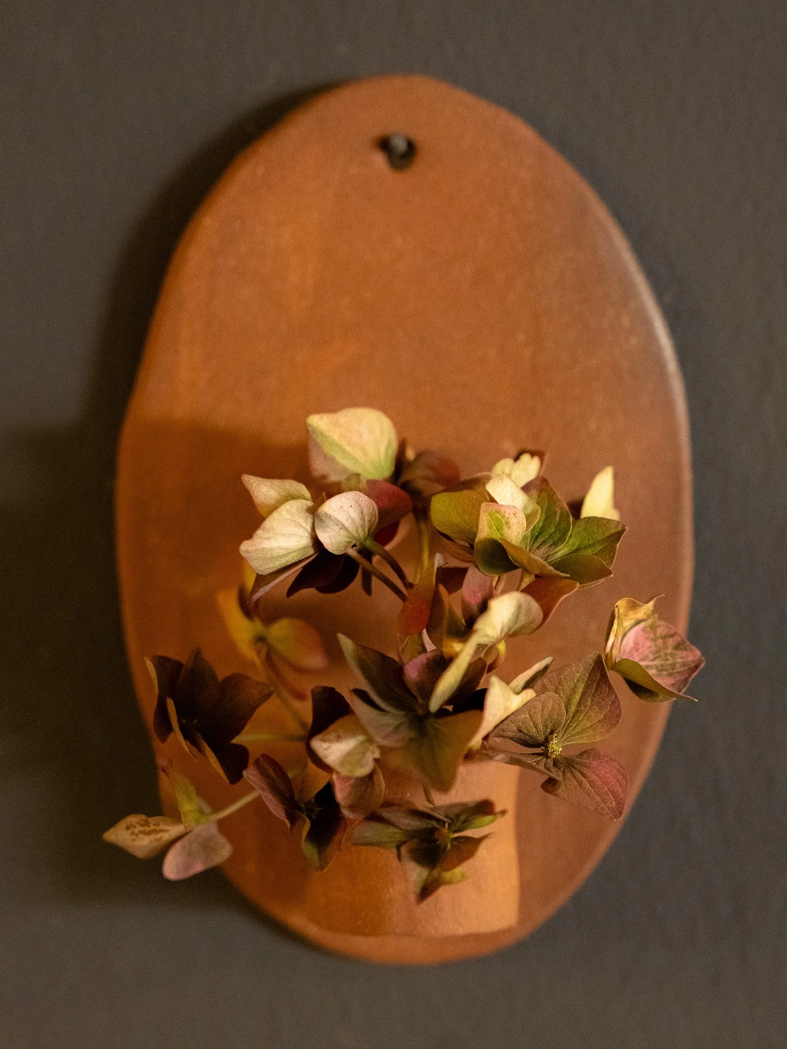 DSC00181.jpg