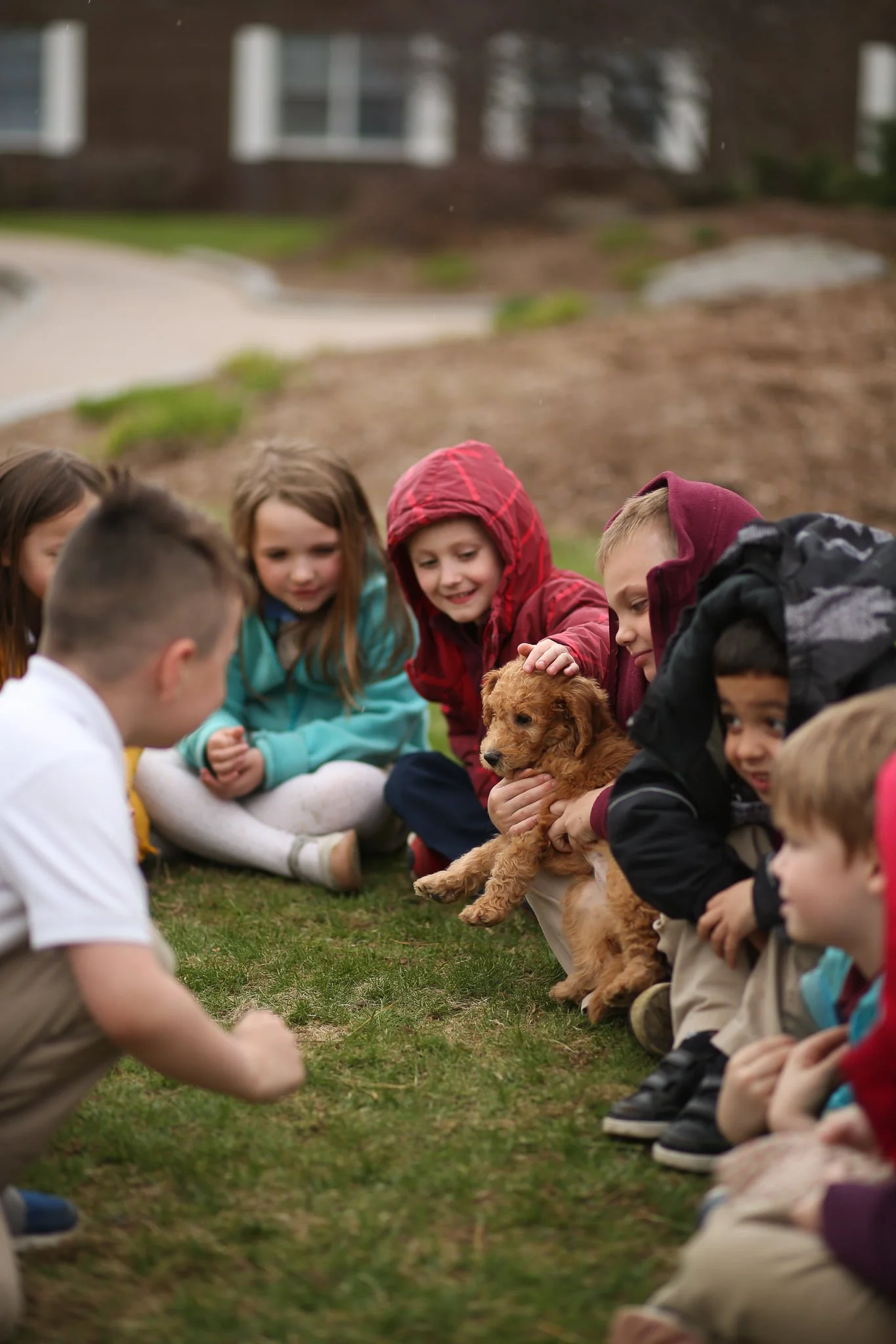 Group of children sitting outdoors on grass, gathered around a small puppy with brown curly fur.