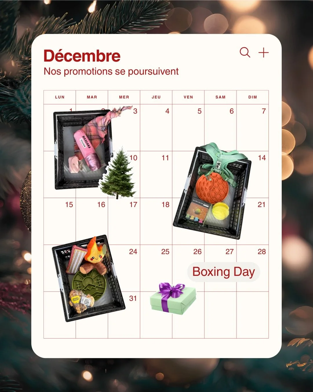 🐾 BOXING DAY &Agrave; L&rsquo;&Eacute;COLE DES CHIENS 🐾
Du 26 au 28 d&eacute;cembre inclusivement, viens faire le plein de tous tes essentiels canins dans notre nouvelle boutique canine L&rsquo;&Eacute;cole des chiens 🐶

✨ 15 % de rabais sur une s