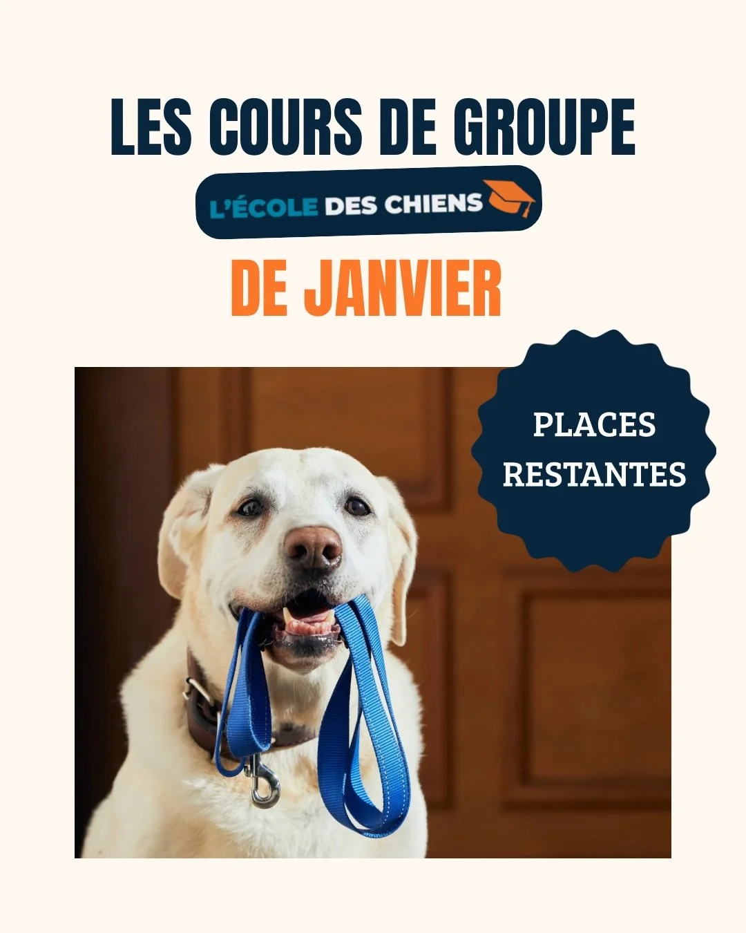 ✨ Quelques places restantes pour nos cours de groupe de janvier &agrave; L&rsquo;&eacute;cole des chiens 🐶
C&rsquo;est le moment de r&eacute;server votre place!

Vous h&eacute;sitez &agrave; savoir quel cours choisir &agrave; L&rsquo;&eacute;cole de