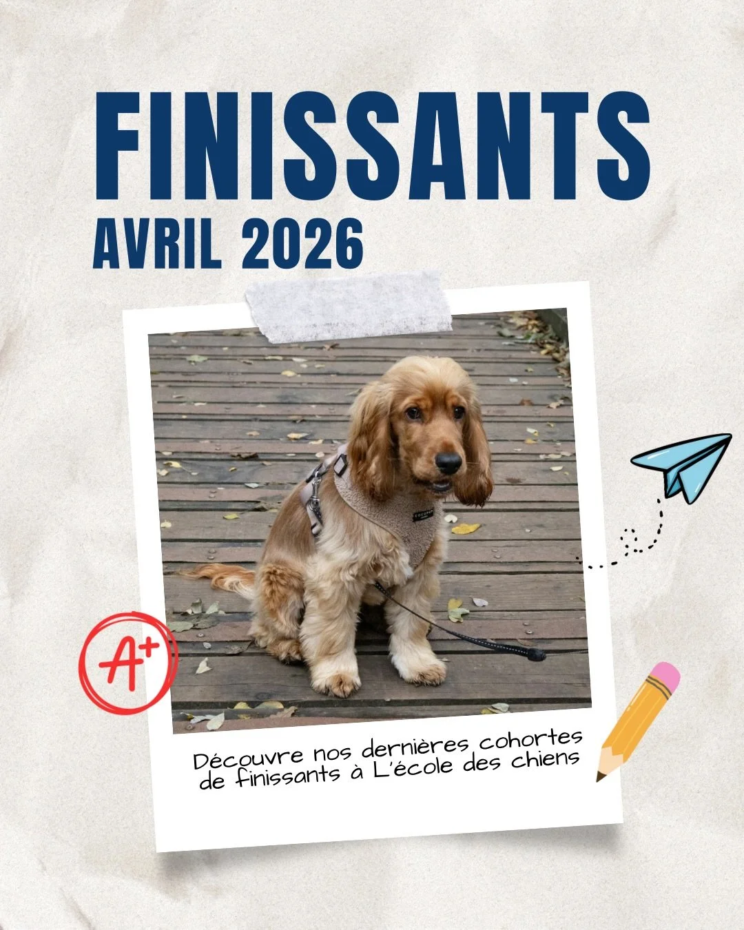 Nos finissants du mois d&rsquo;avril 🎓🐶
Chaque dipl&ocirc;me, c&rsquo;est une relation transform&eacute;e - entre vous et votre compagnon.

Merci de nous faire confiance pour vous accompagner dans ce quotidien. On est tellement fiers de vous voir &