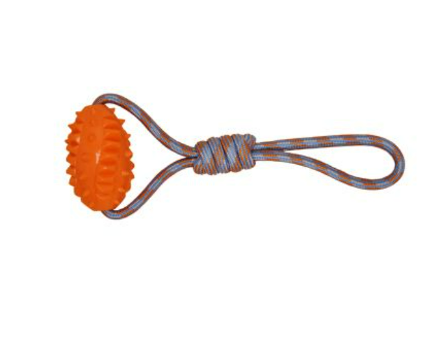 jouet-flottant-ballon-de-football-budz.png