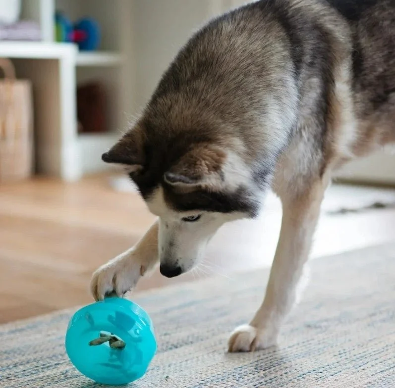 Balle Automatique - Jouet Interactif