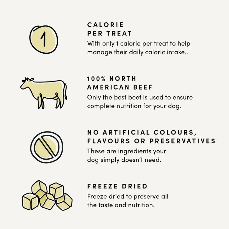 Capture d’écran_18-12-2025_22659_crumps.ca.jpeg