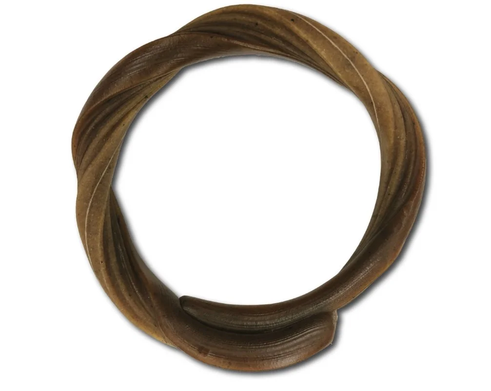 Capture d’écran_3-1-2026_142215_gastronomeanimal.com.jpeg