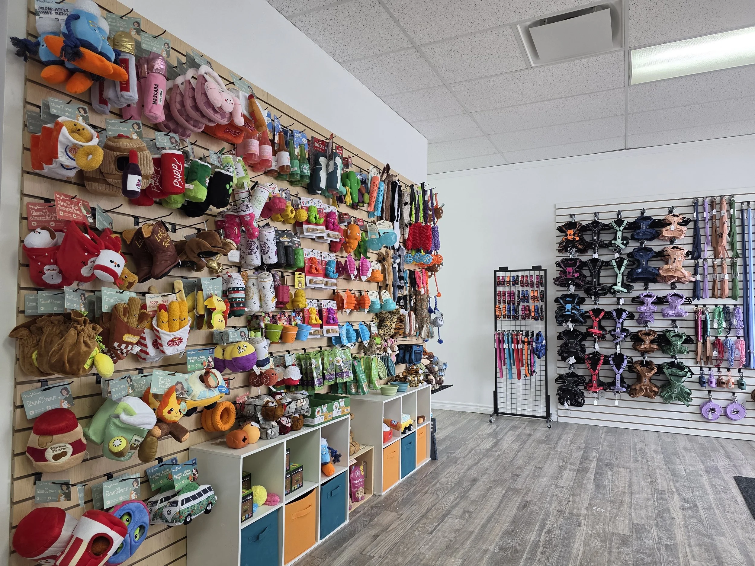 Rayonnage de jouets pour animaux, notamment des jouets en peluche et des colliers, dans un magasin.