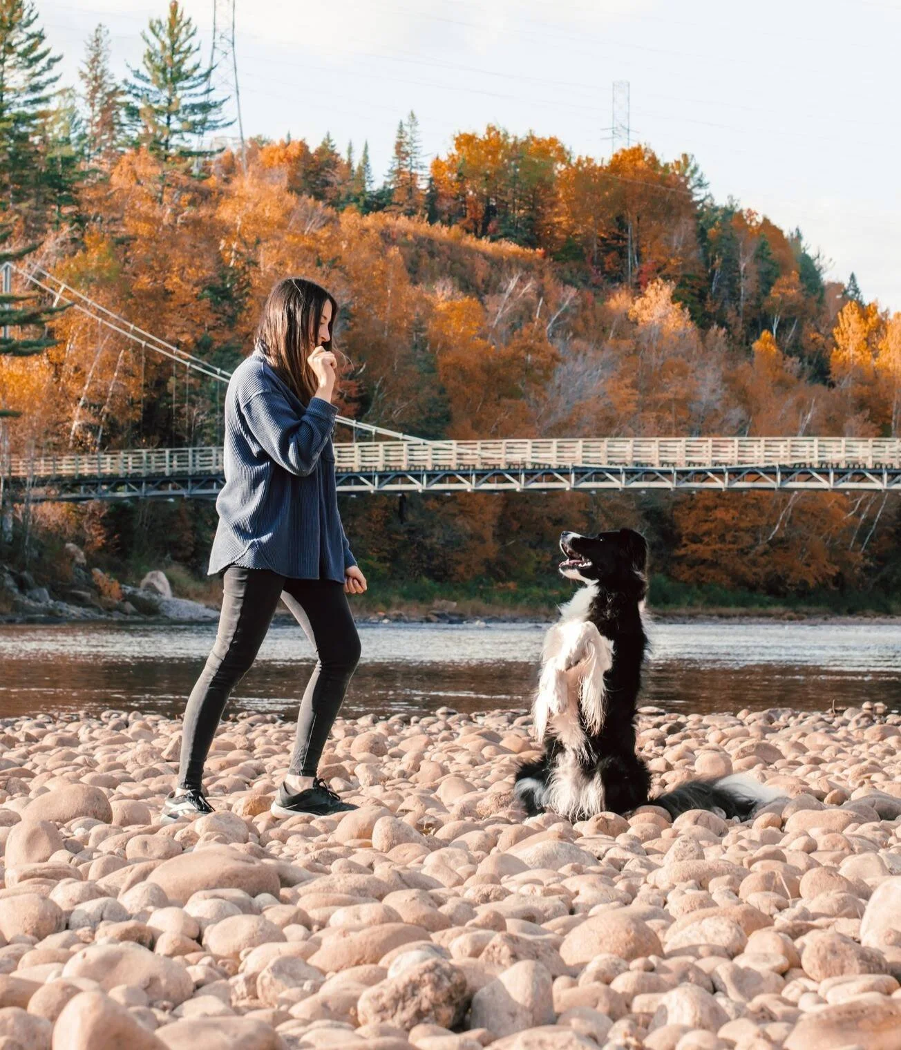 Une femme et un chien près d'une rivière en automne, avec un pont suspendu en arrière-plan et des arbres aux couleurs automnales.