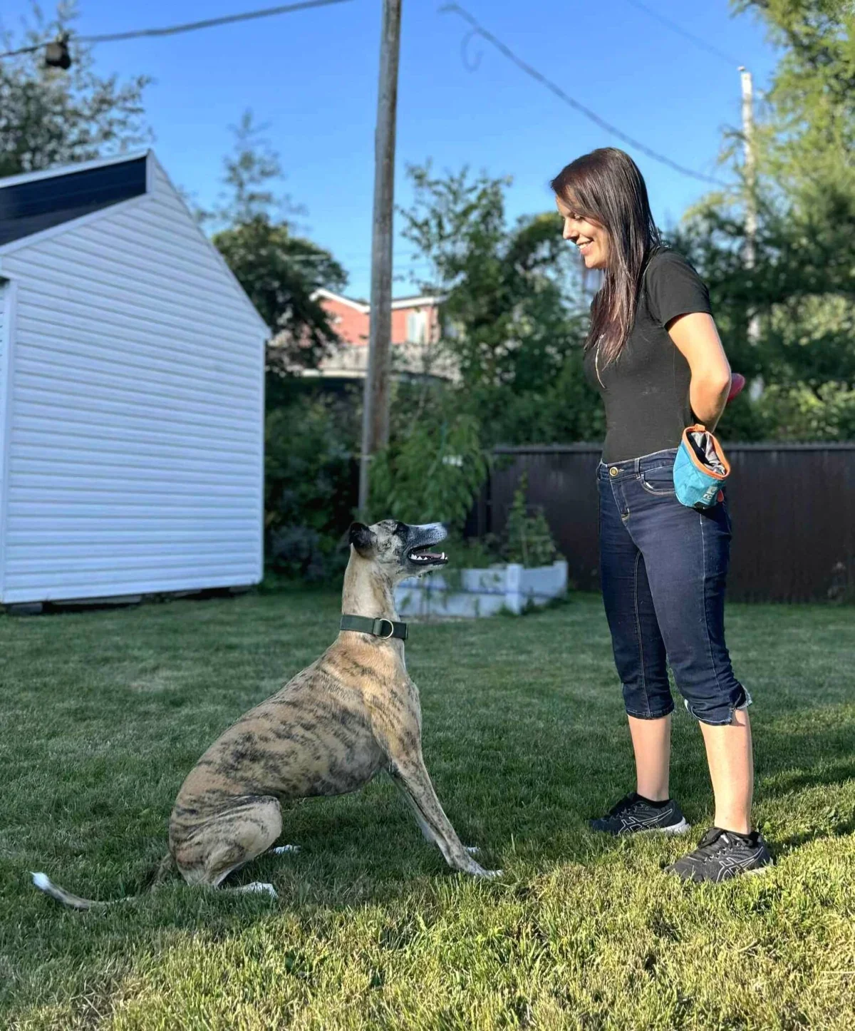 Une femme souriante en t-shirt noir et jean capri se tient dans un jardin, regardant un chien de race inconnue assis devant elle, dans un environnement en plein air avec des arbres et une maison en arrière-plan.