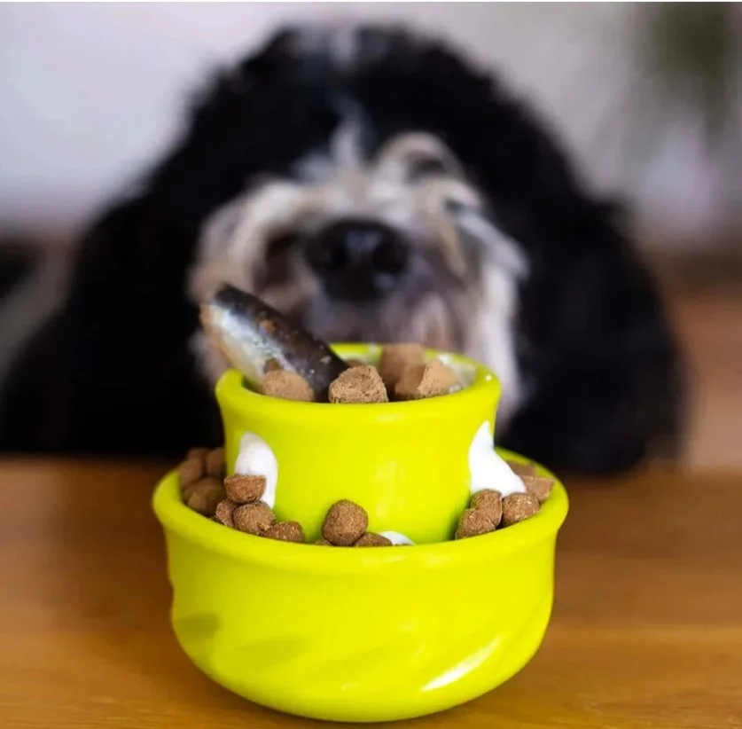 Champignon - Messy Mutts - Totally Pooched