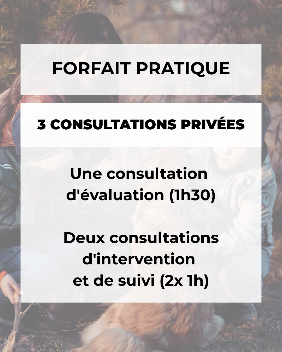 Affiche promotionnelle pour un forfait pratique proposant 3 consultations privées, comprenant une consultation d'évaluation d'une durée d'1h30, deux consultations d'intervention et de suivi de 1h chacune, avec une image d'une famille avec un chien dans un environnement naturel.