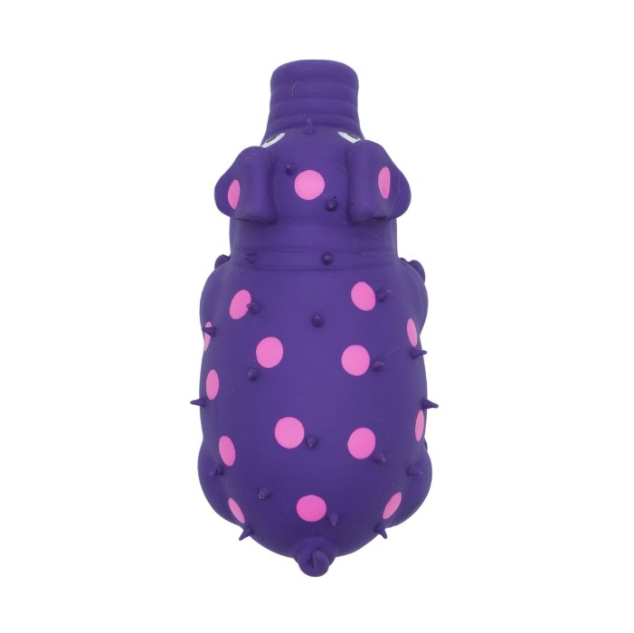 Capture d’écran_21-1-2026_125423_gastronomeanimal.com.jpeg