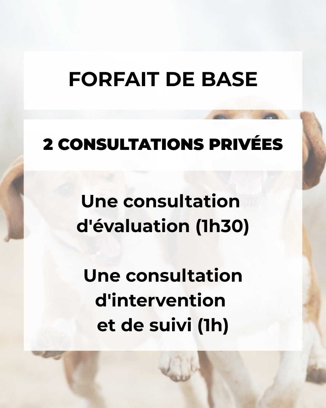Tarif de base pour consultations vétérinaires, comprenant deux consultations privées, une évaluation de 1h30 et une intervention avec suivi d'une heure, avec une image de chiens en arrière-plan.