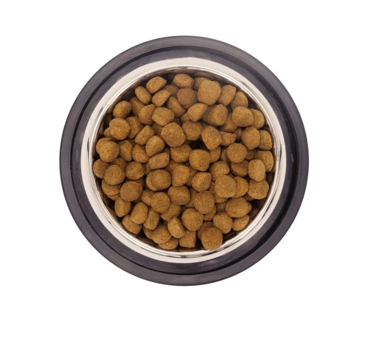 Capture d’écran_26-1-2026_103644_gastronomeanimal.com.jpeg