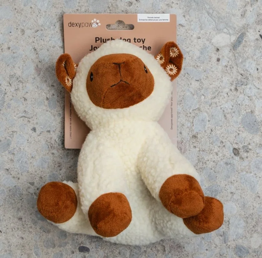 Capture d’écran_17-3-2026_165124_dexypaws.com.jpeg