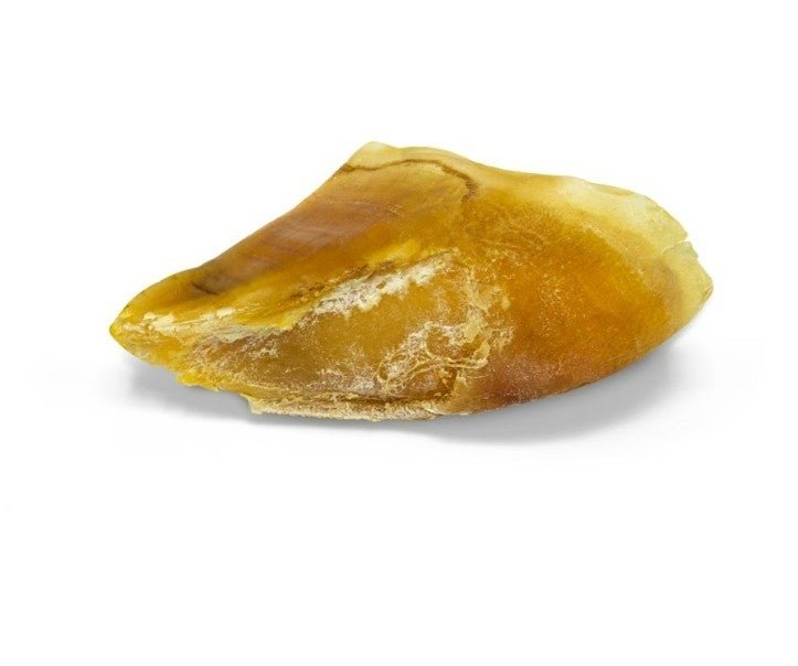 Articles de mastication pour chiens (os, sabots, etc.)