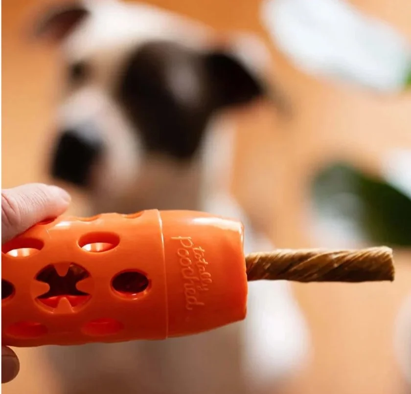 Capture d’écran_22-12-2025_17338_messymutts.ca.jpeg