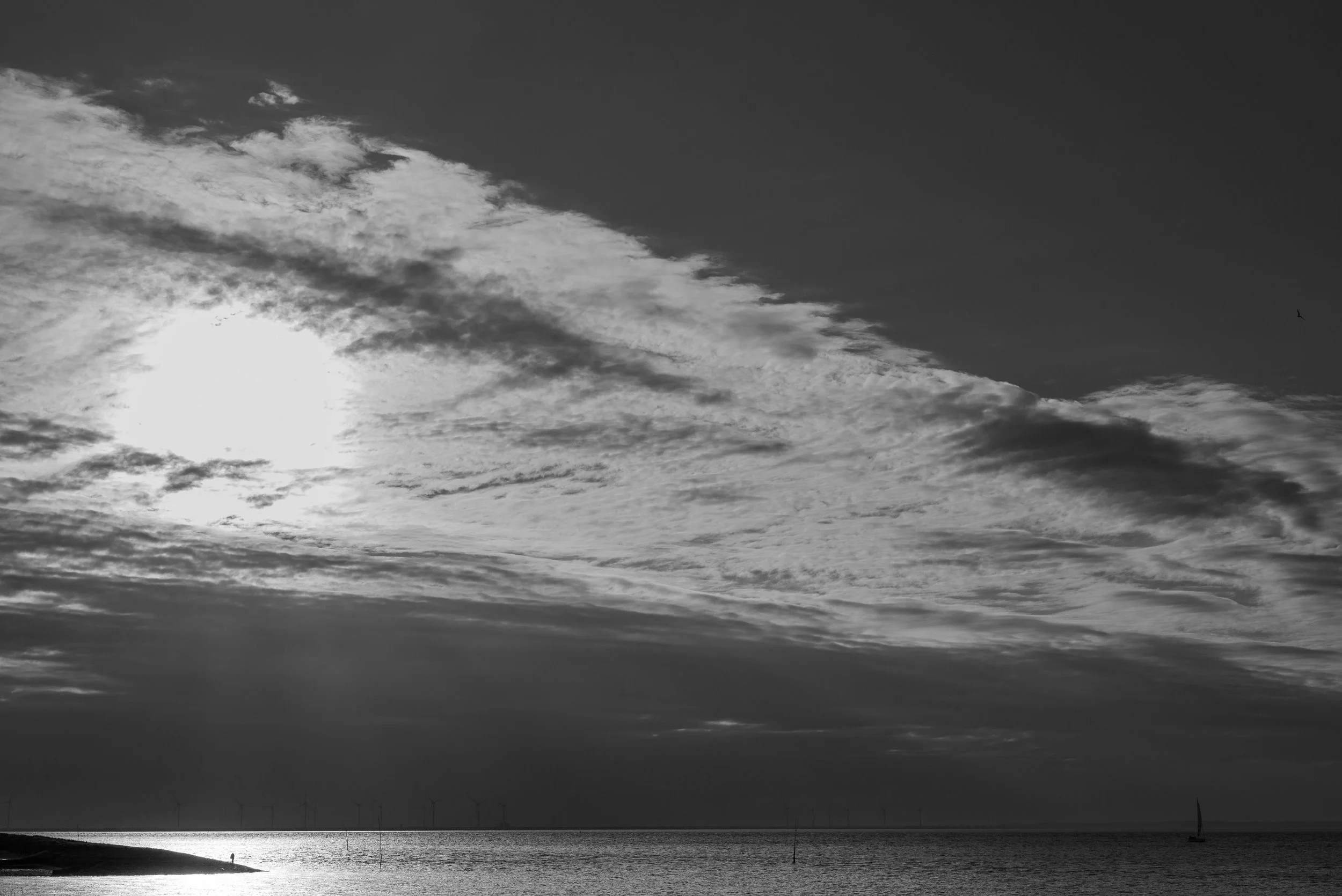 L1008599.jpg