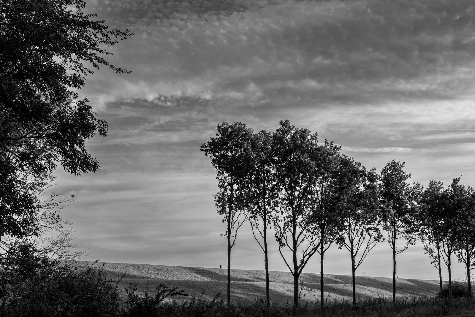 WhatsApp Image 2025-12-23 at 22.23.17.jpeg