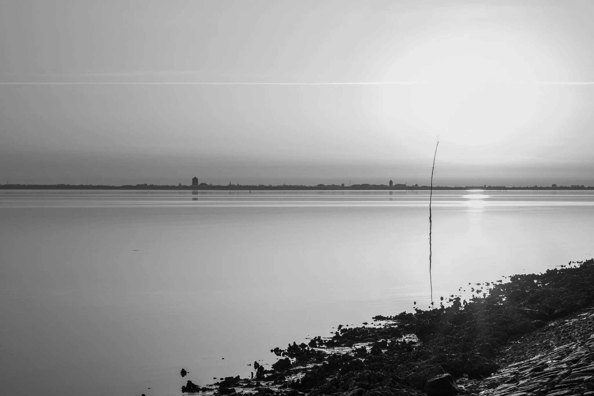 L1008665.jpg