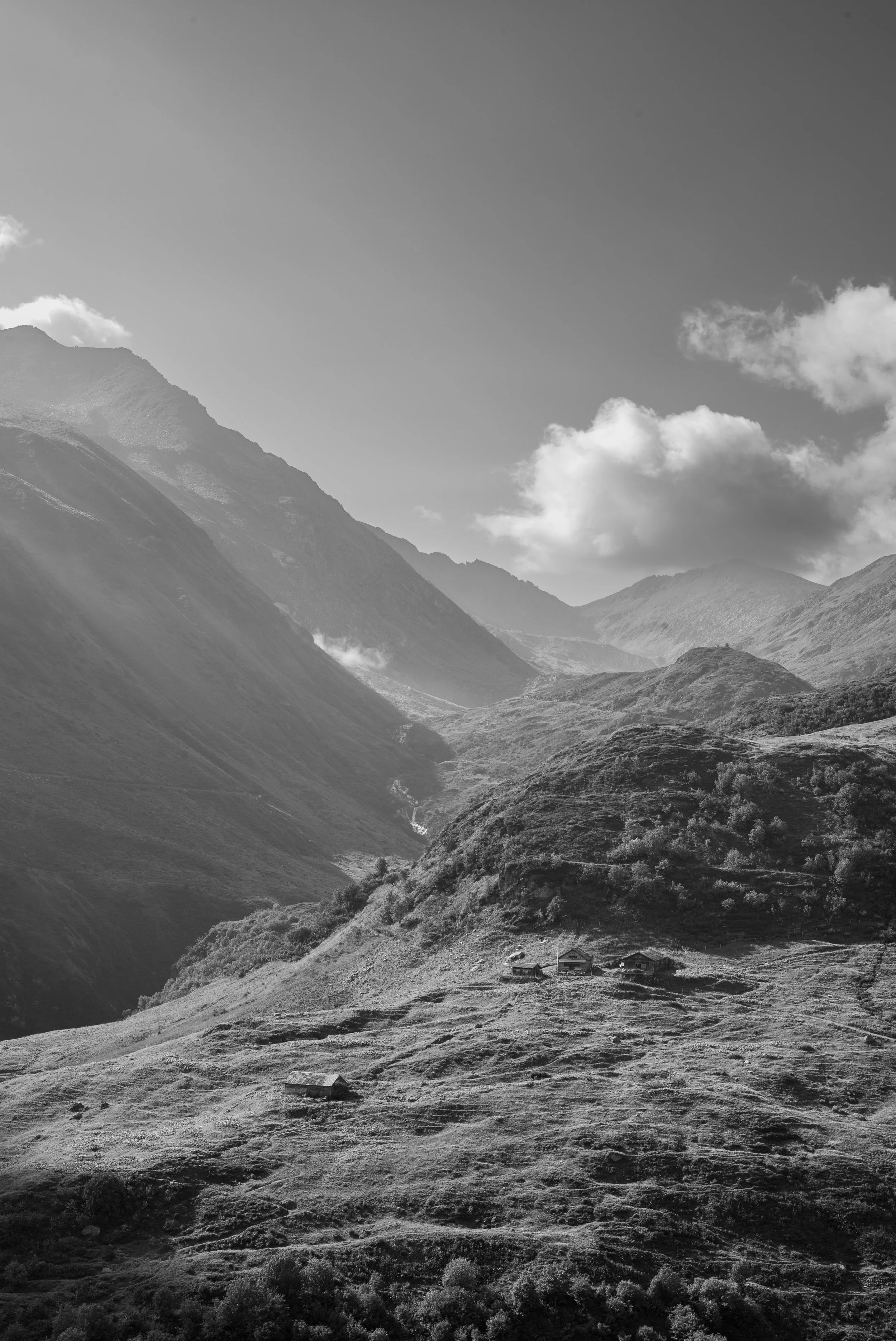 L1007268.jpg