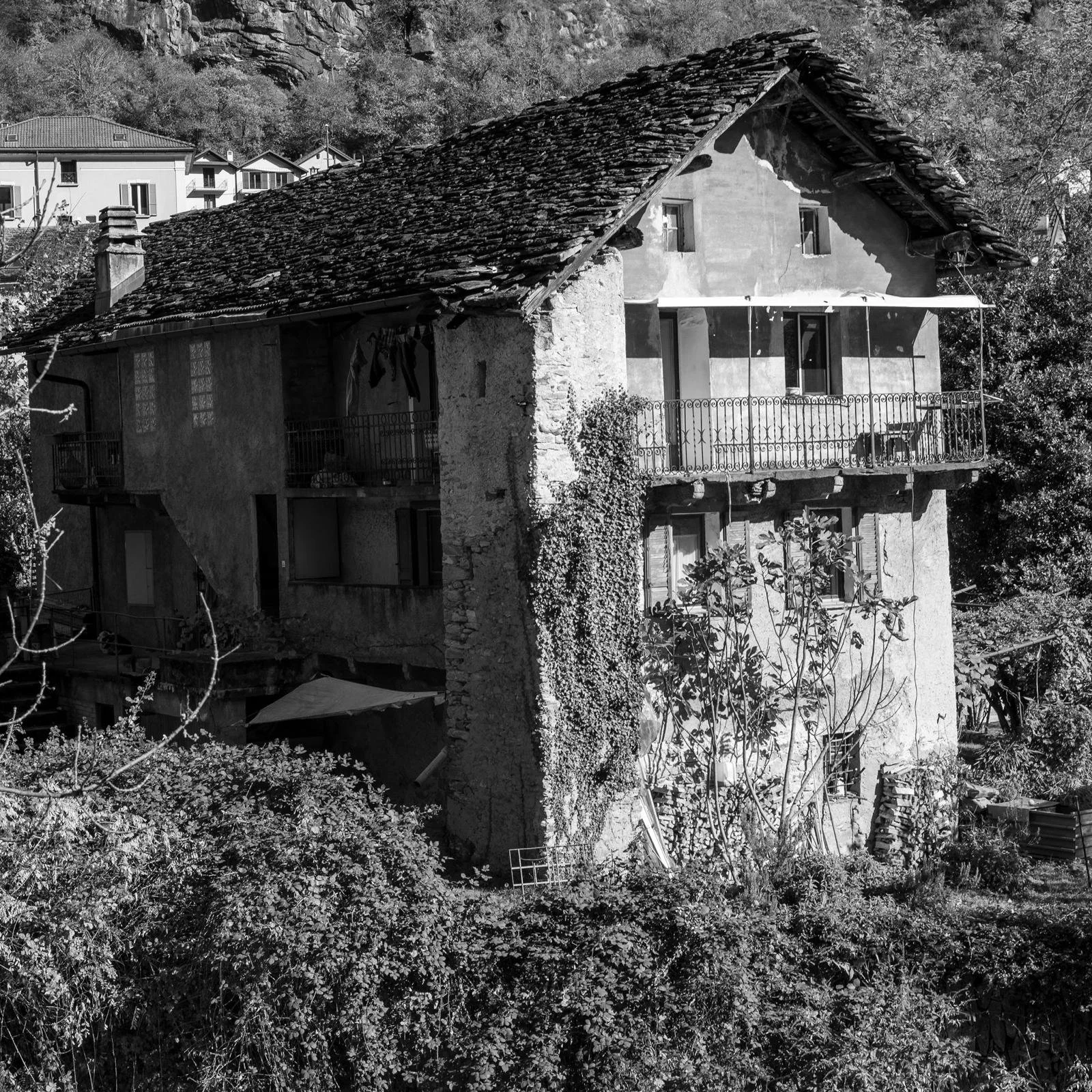 WhatsApp Image 2025-12-23 at 22.23.19 (3).jpeg