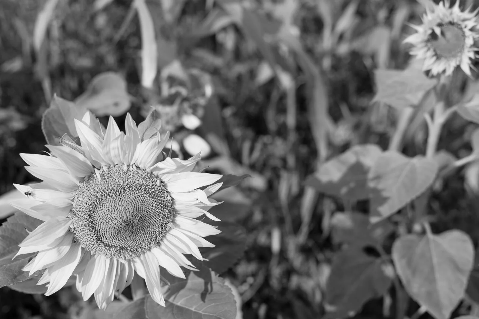 WhatsApp Image 2025-12-23 at 22.23.13 (3).jpeg