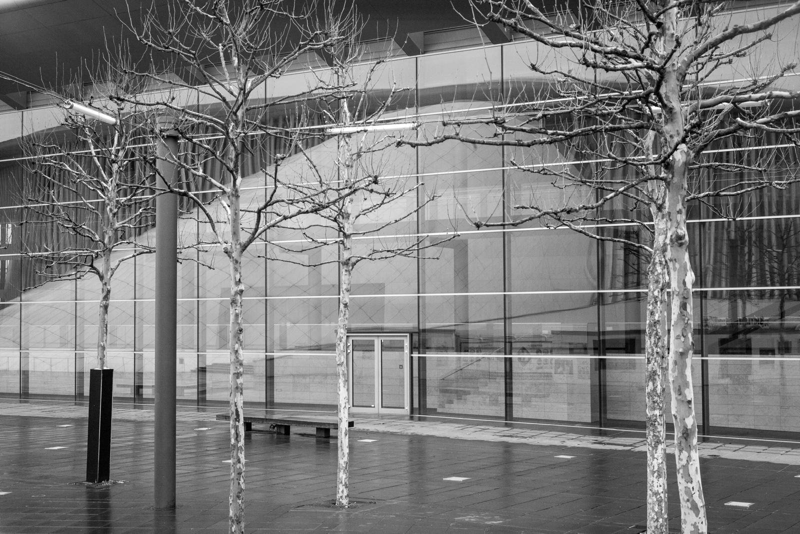 WhatsApp Image 2025-12-23 at 22.23.21 (2).jpeg