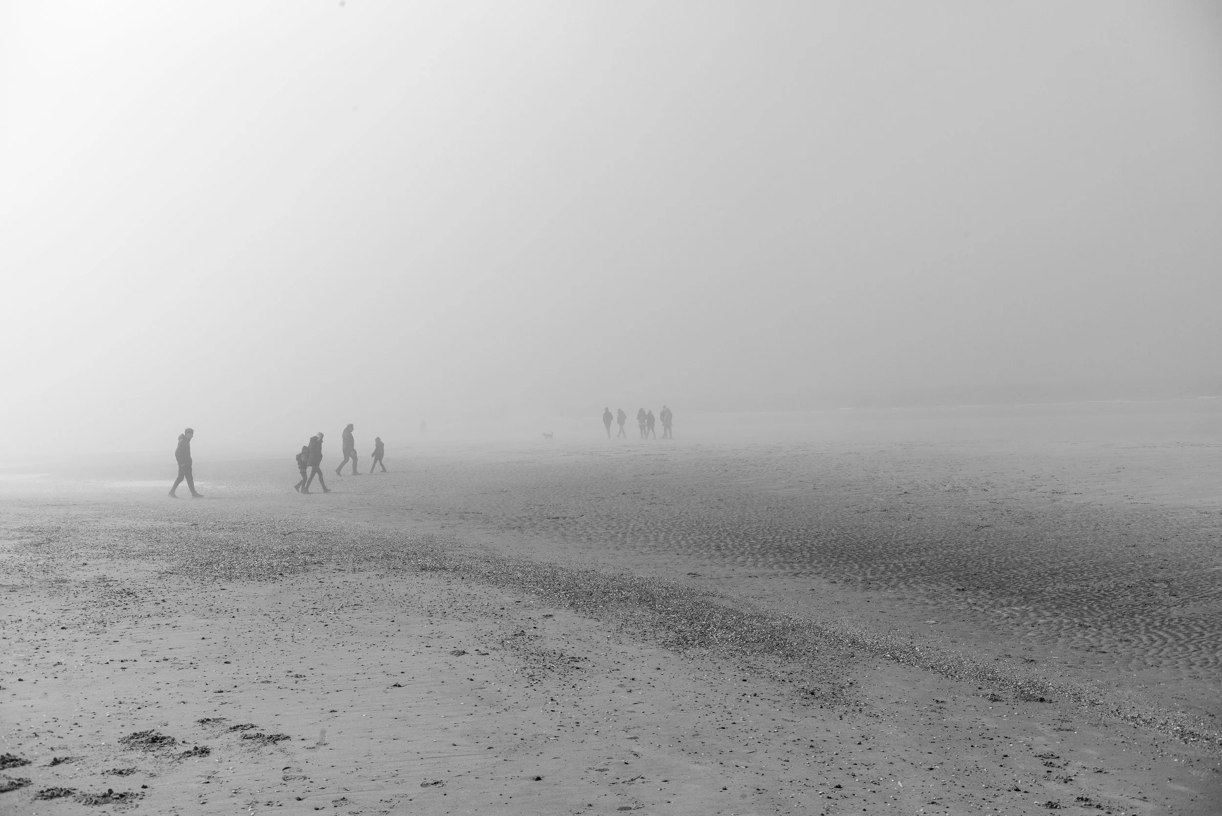 L1000899.jpg