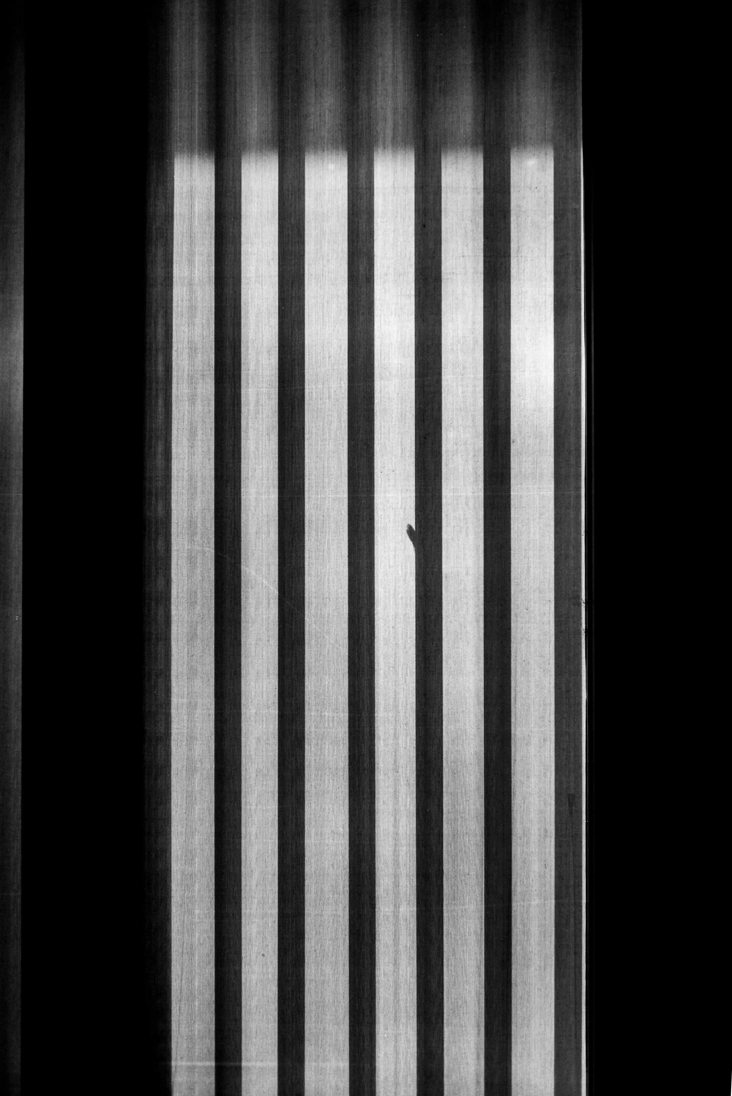 L1006433.jpg
