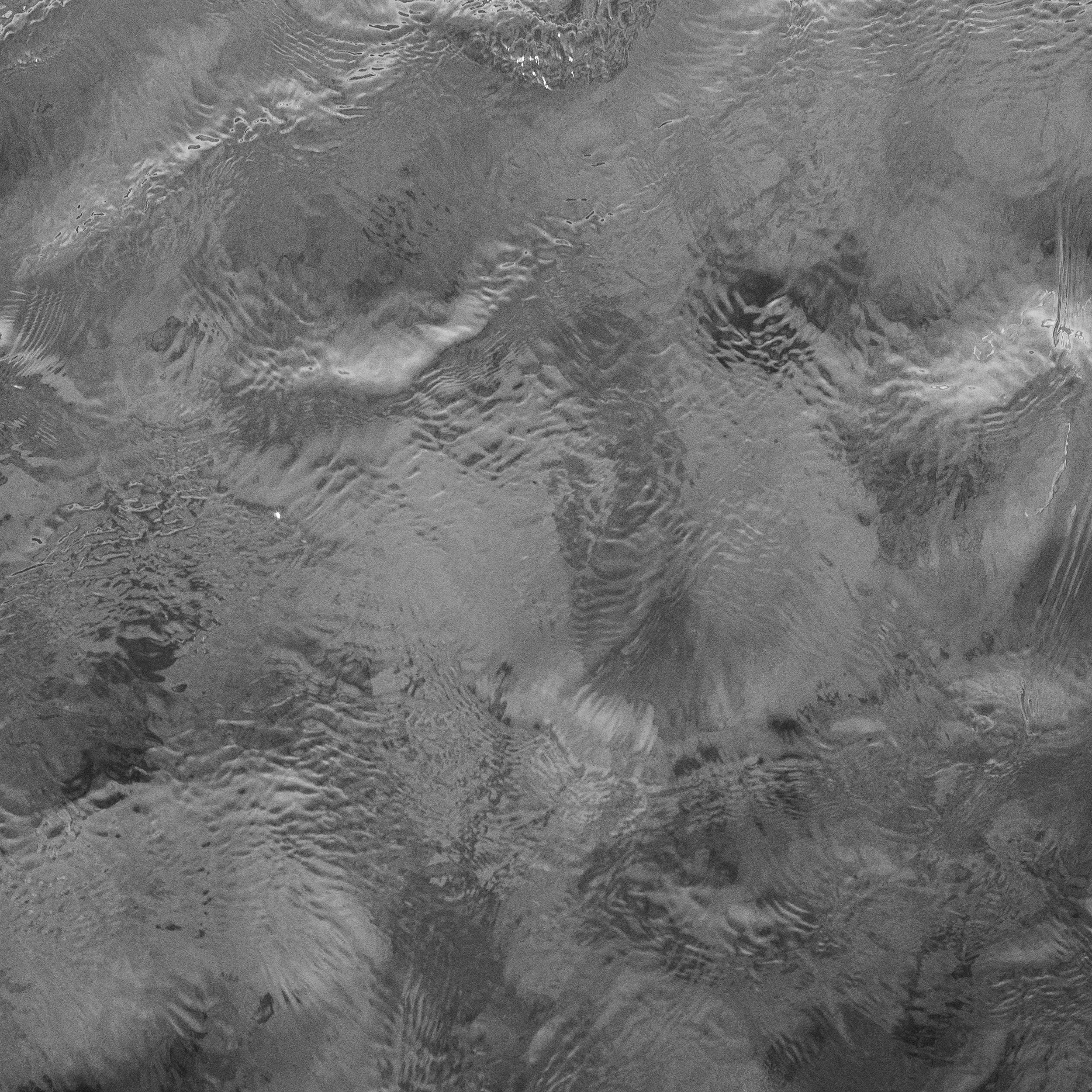 L1005981.jpg