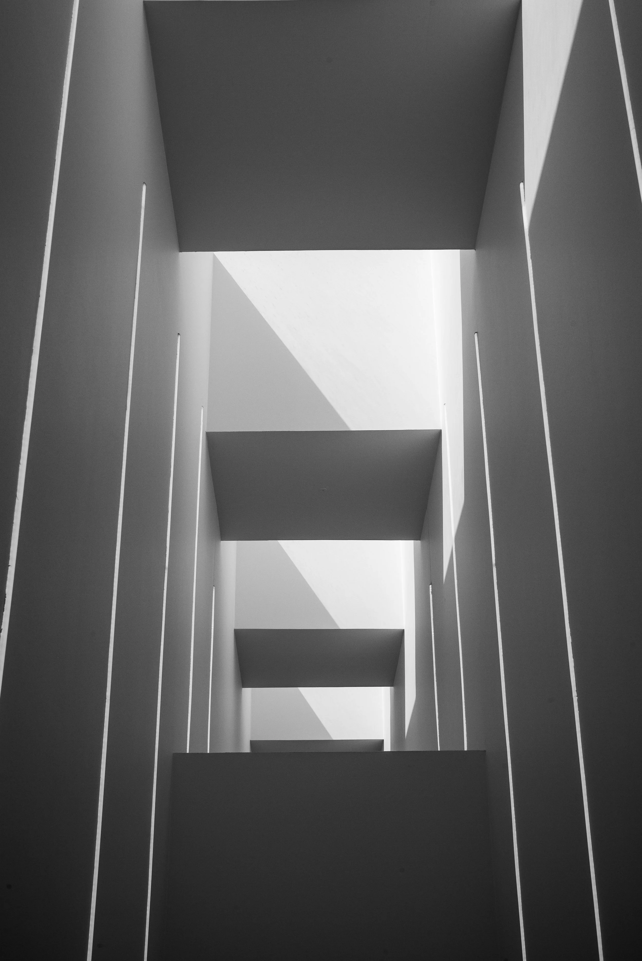 L1007178.jpg