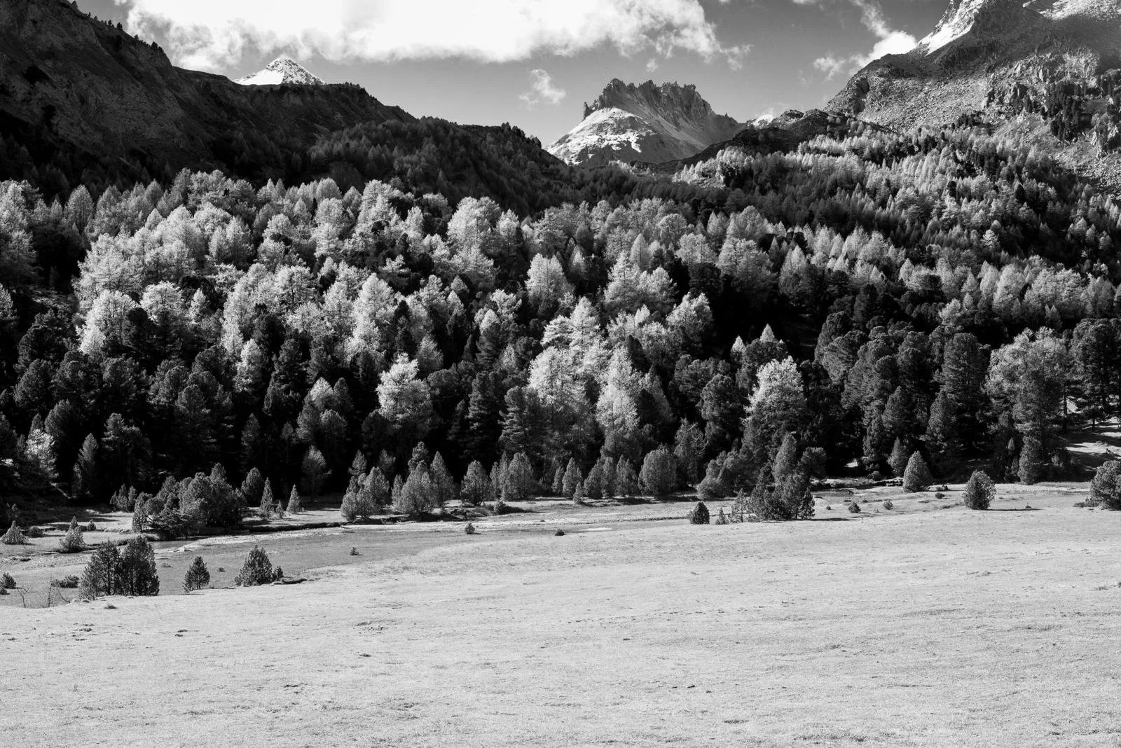 WhatsApp Image 2025-12-23 at 22.23.20 (2).jpeg